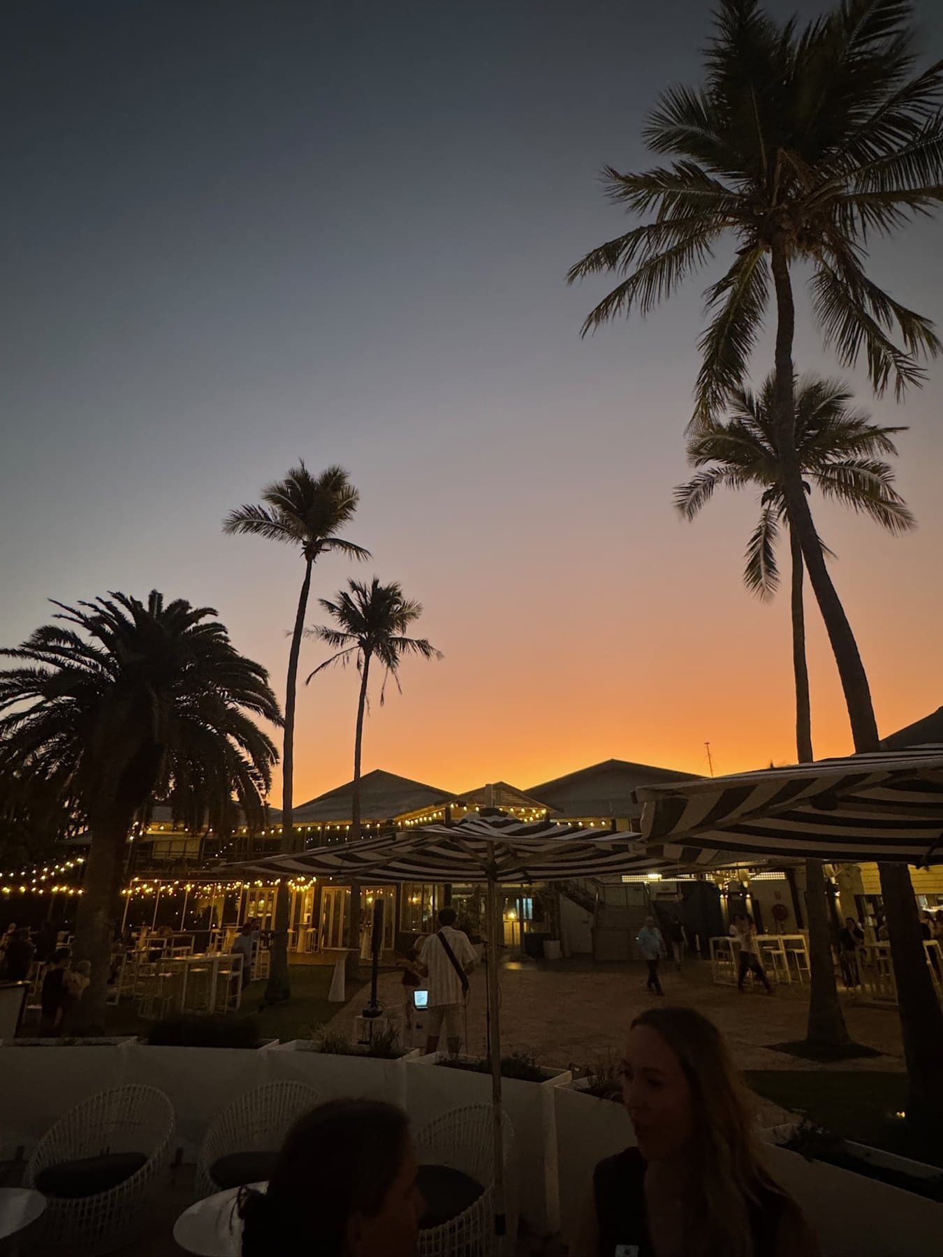 Palm trees and festoon lights at sunset in Broome